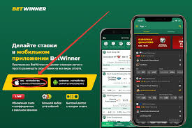 Understanding the World of Sports Betting